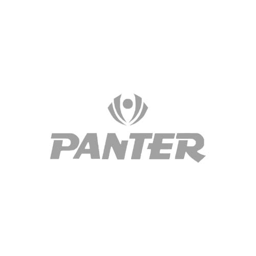 2_panter