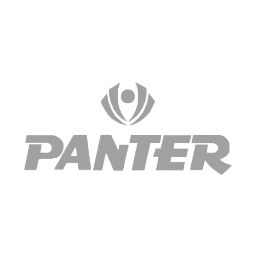 6_panter